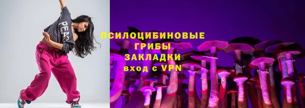 стаф Абаза
